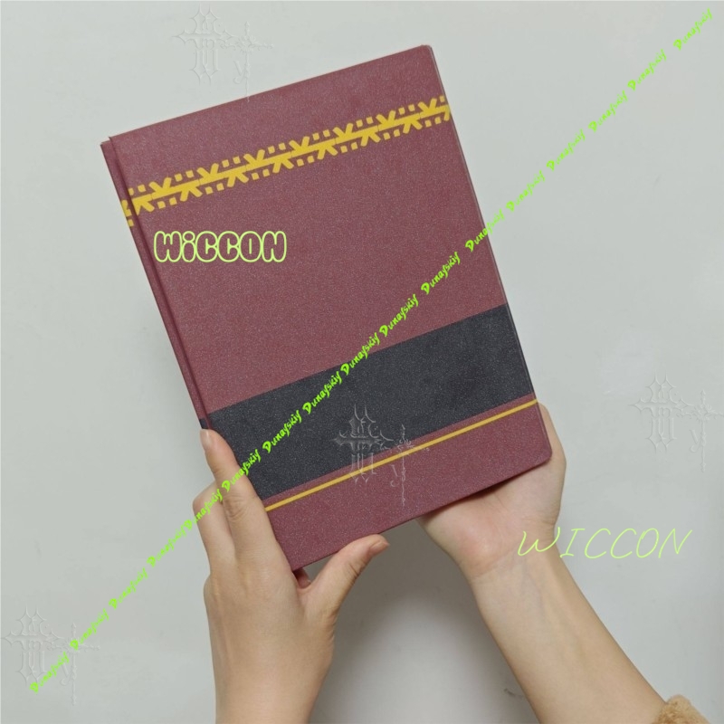 Książki o mistrzach Wushu Cosp – Book Party Games recenzja i cena